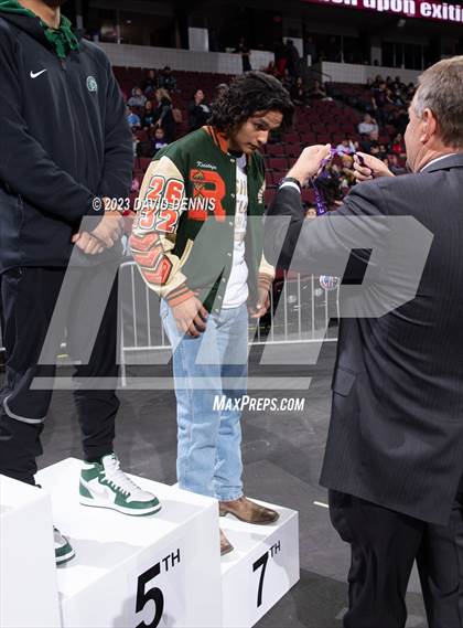 Thumbnail 1 in CIF State Boys Wrestling Championships (Podium Awards) photogallery.