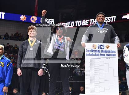 Thumbnail 1 in CIF State Boys Wrestling Championships (Podium Awards) photogallery.