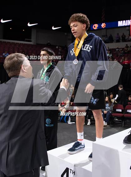 Thumbnail 2 in CIF State Boys Wrestling Championships (Podium Awards) photogallery.