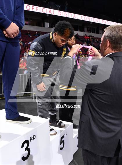 Thumbnail 3 in CIF State Boys Wrestling Championships (Podium Awards) photogallery.
