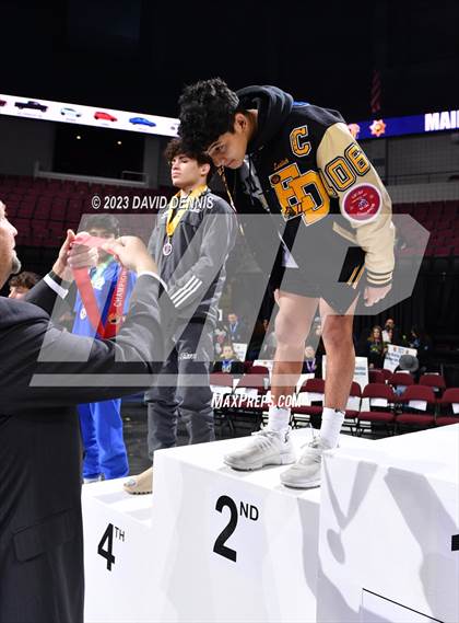 Thumbnail 2 in CIF State Boys Wrestling Championships (Podium Awards) photogallery.