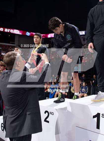 Thumbnail 1 in CIF State Boys Wrestling Championships (Podium Awards) photogallery.