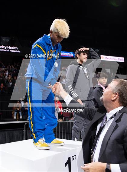 Thumbnail 1 in CIF State Boys Wrestling Championships (Podium Awards) photogallery.