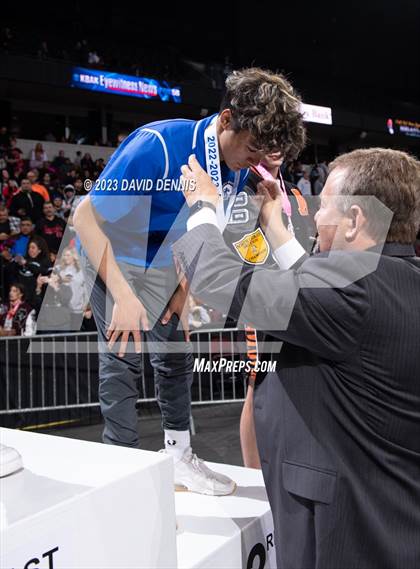 Thumbnail 2 in CIF State Boys Wrestling Championships (Podium Awards) photogallery.