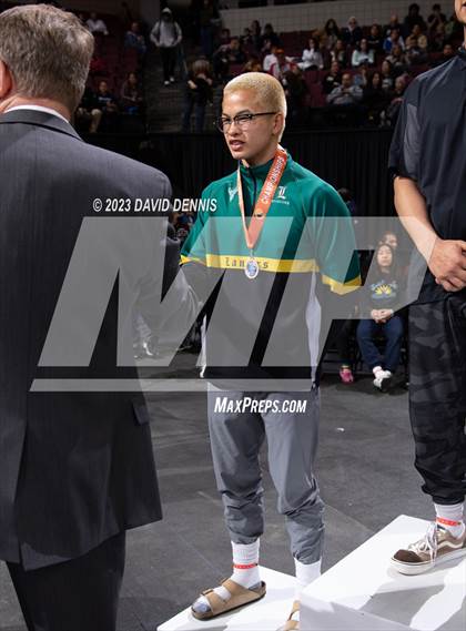 Thumbnail 2 in CIF State Boys Wrestling Championships (Podium Awards) photogallery.