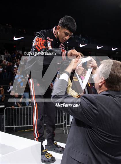 Thumbnail 3 in CIF State Boys Wrestling Championships (Podium Awards) photogallery.