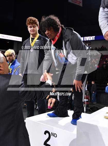 Thumbnail 1 in CIF State Boys Wrestling Championships (Podium Awards) photogallery.