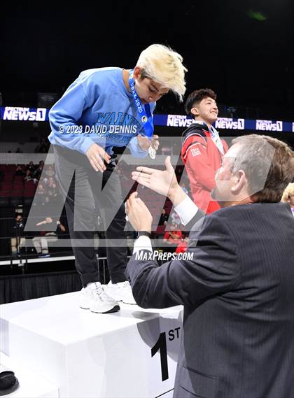 Thumbnail 2 in CIF State Boys Wrestling Championships (Podium Awards) photogallery.