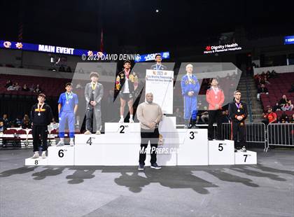 Thumbnail 3 in CIF State Boys Wrestling Championships (Podium Awards) photogallery.