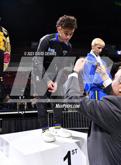Thumbnail 1 in CIF State Boys Wrestling Championships (Podium Awards) photogallery.