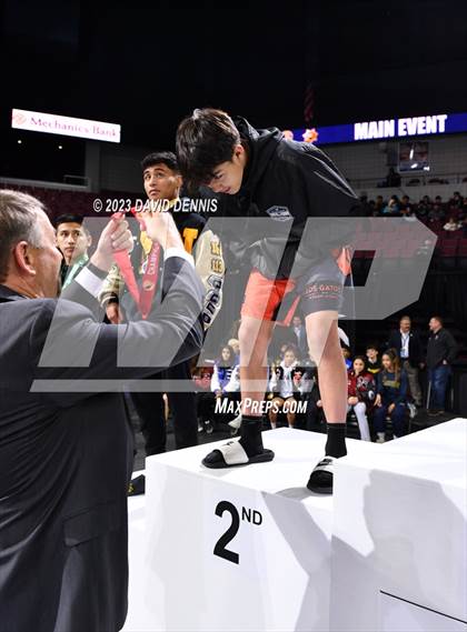 Thumbnail 3 in CIF State Boys Wrestling Championships (Podium Awards) photogallery.