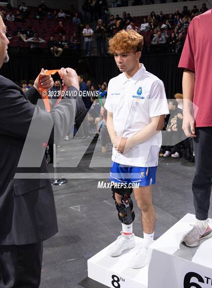 Thumbnail 2 in CIF State Boys Wrestling Championships (Podium Awards) photogallery.