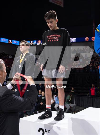 Thumbnail 1 in CIF State Boys Wrestling Championships (Podium Awards) photogallery.
