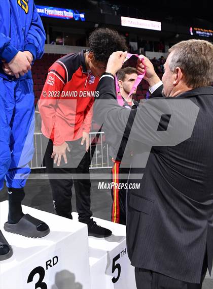 Thumbnail 1 in CIF State Boys Wrestling Championships (Podium Awards) photogallery.