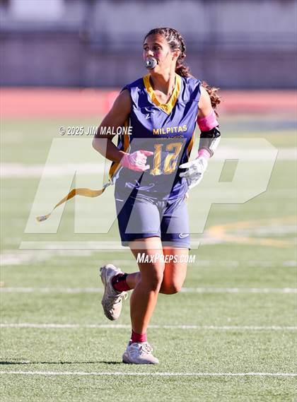 Thumbnail 1 in Los Altos @ Milpitas photogallery.