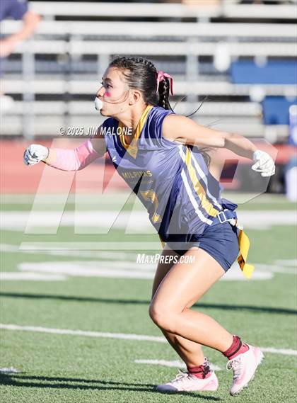 Thumbnail 1 in Los Altos @ Milpitas photogallery.