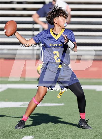 Thumbnail 2 in Los Altos @ Milpitas photogallery.