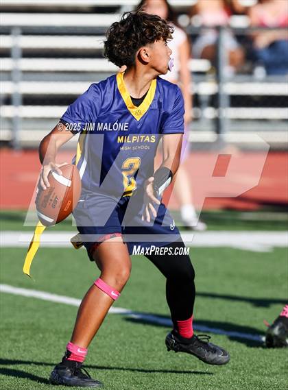 Thumbnail 1 in Los Altos @ Milpitas photogallery.