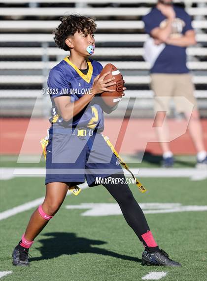 Thumbnail 3 in Los Altos @ Milpitas photogallery.