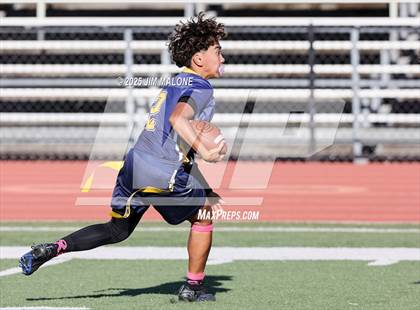 Thumbnail 2 in Los Altos @ Milpitas photogallery.