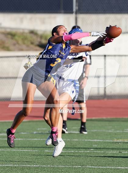 Thumbnail 3 in Los Altos @ Milpitas photogallery.