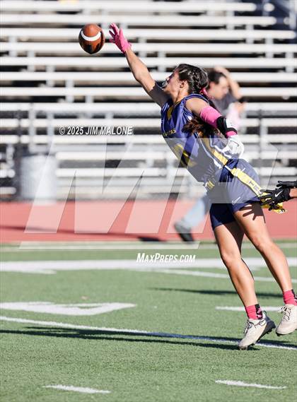 Thumbnail 1 in Los Altos @ Milpitas photogallery.