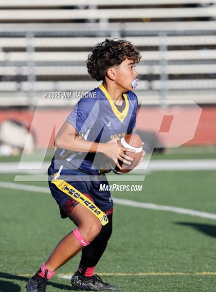 Thumbnail 2 in Los Altos @ Milpitas photogallery.