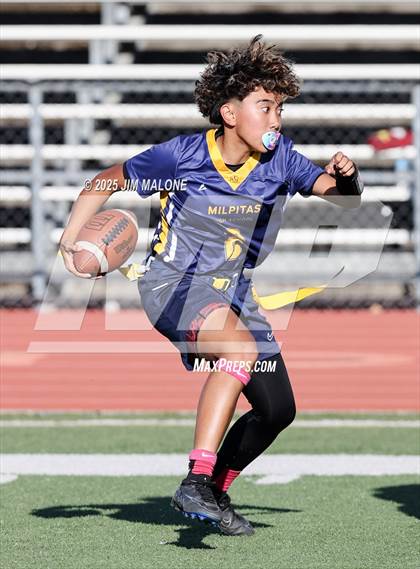 Thumbnail 1 in Los Altos @ Milpitas photogallery.