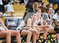 Photo from the gallery "Conifer @ Golden"