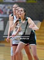 Photo from the gallery "Conifer @ Golden"