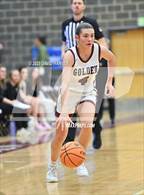 Photo from the gallery "Conifer @ Golden"