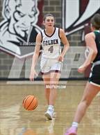 Photo from the gallery "Conifer @ Golden"