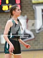 Photo from the gallery "Conifer @ Golden"