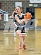 Photo from the gallery "Conifer @ Golden"