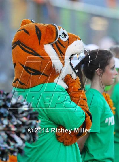 Thumbnail 2 in Farmington @ Prairie Grove photogallery.