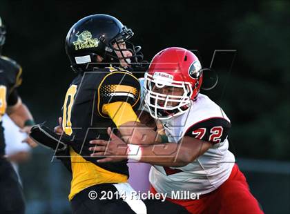 Thumbnail 2 in Farmington @ Prairie Grove photogallery.