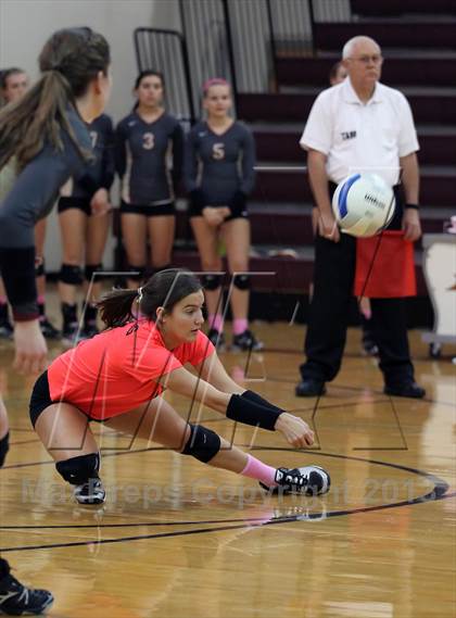 Thumbnail 3 in Leander @ Rouse photogallery.
