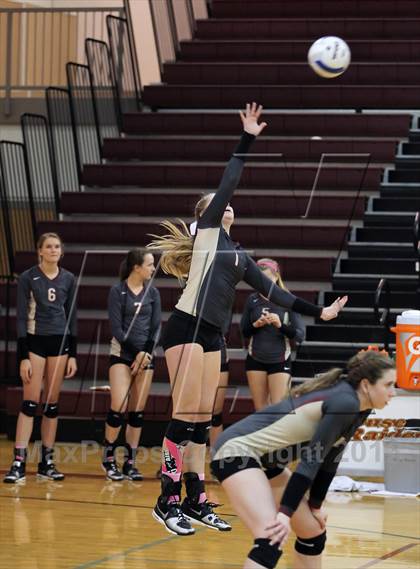 Thumbnail 2 in Leander @ Rouse photogallery.