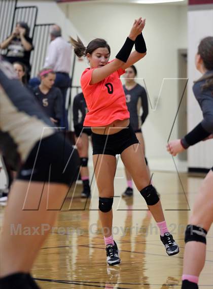 Thumbnail 1 in Leander @ Rouse photogallery.