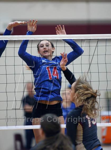 Thumbnail 3 in Leander @ Rouse photogallery.