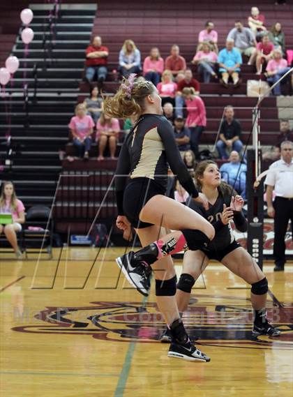 Thumbnail 1 in Leander @ Rouse photogallery.