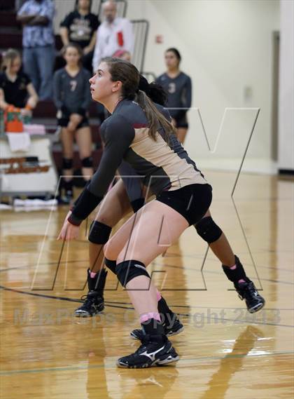 Thumbnail 3 in Leander @ Rouse photogallery.