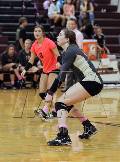 Thumbnail 1 in Leander @ Rouse photogallery.