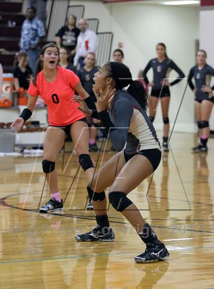 Thumbnail 1 in Leander @ Rouse photogallery.