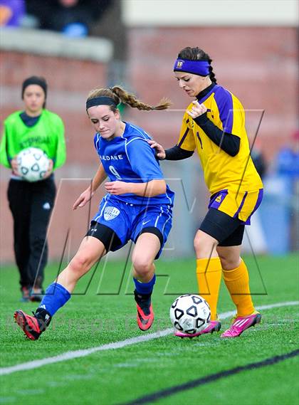 Thumbnail 1 in Haldane vs. Holland (NYSPHSAA Class C Final) photogallery.