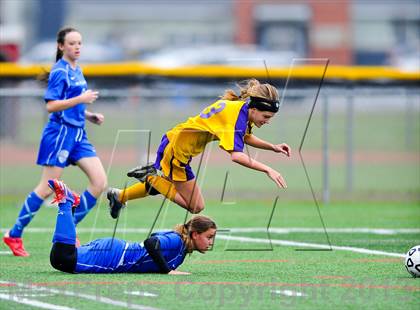 Thumbnail 1 in Haldane vs. Holland (NYSPHSAA Class C Final) photogallery.