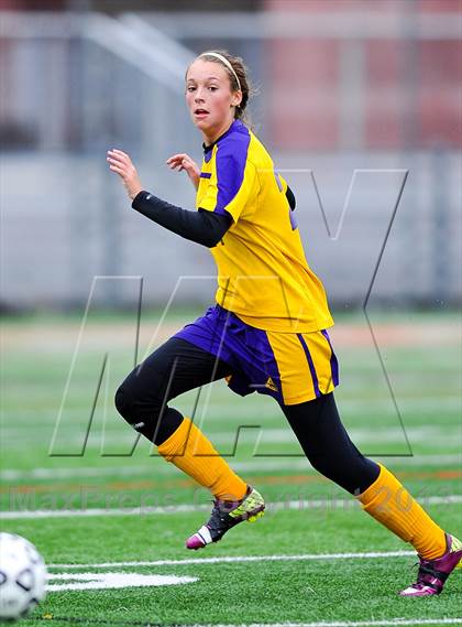 Thumbnail 1 in Haldane vs. Holland (NYSPHSAA Class C Final) photogallery.