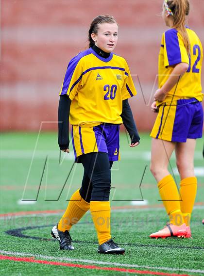Thumbnail 1 in Haldane vs. Holland (NYSPHSAA Class C Final) photogallery.