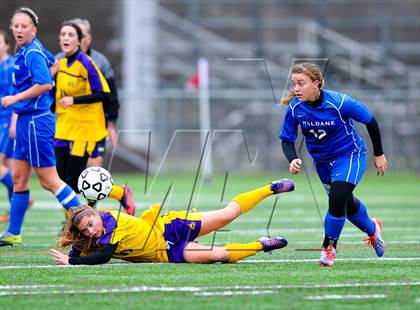 Thumbnail 2 in Haldane vs. Holland (NYSPHSAA Class C Final) photogallery.