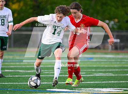 Thumbnail 1 in Skyline vs Newport - Bellevue (District 1/2 4A Playoff) photogallery.